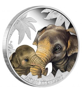 Mother's Love – Asian Elephant 2014 1/2oz Silver Proof Coin