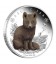 Polar Babies - Arctic Fox 2017 1/2oz Silver Proof Coin