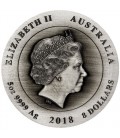 The ANZAC Spirit 100th Anniversary Coin Series - Hall of Memory 2018 5oz