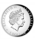 Wedge-tailed Eagle 2018 1oz Silver Proof High Relief Coin
