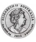 Tiger 2oz Silver Antiqued Coin-2022