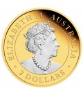 Kangaroo 2oz Silver Reverse Gilded Coin