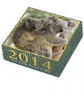 Australian Koala 2014 Gold Proof Coin Series