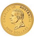 Australian Kangaroo 1 Kilo Gold Bullion Coin-2024
