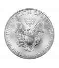 1 oz Silver American Eagle (Random Year)